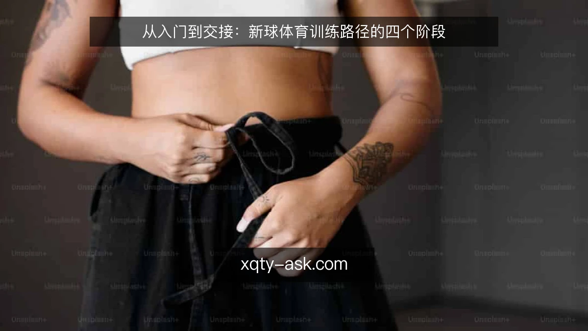 从入门到交接：新球体育训练路径的四个阶段