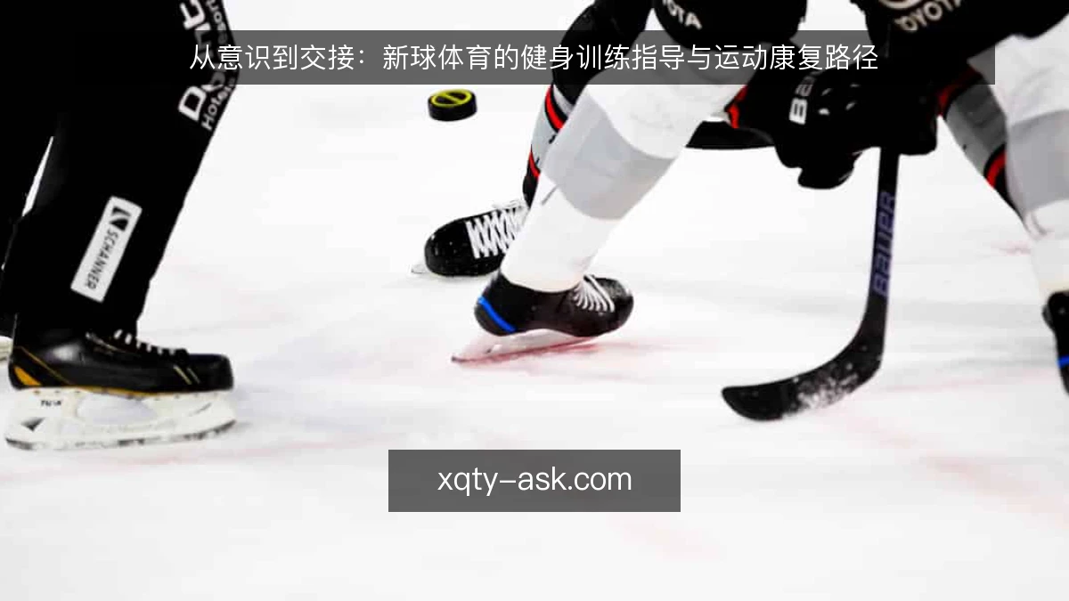 从意识到交接:新球体育的健身训练指导与运动康复路径