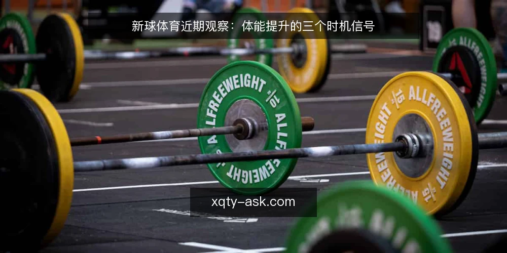 新球体育近期观察:体能提升的三个时机信号 — 近期讨论里被放大的时机焦虑 配图