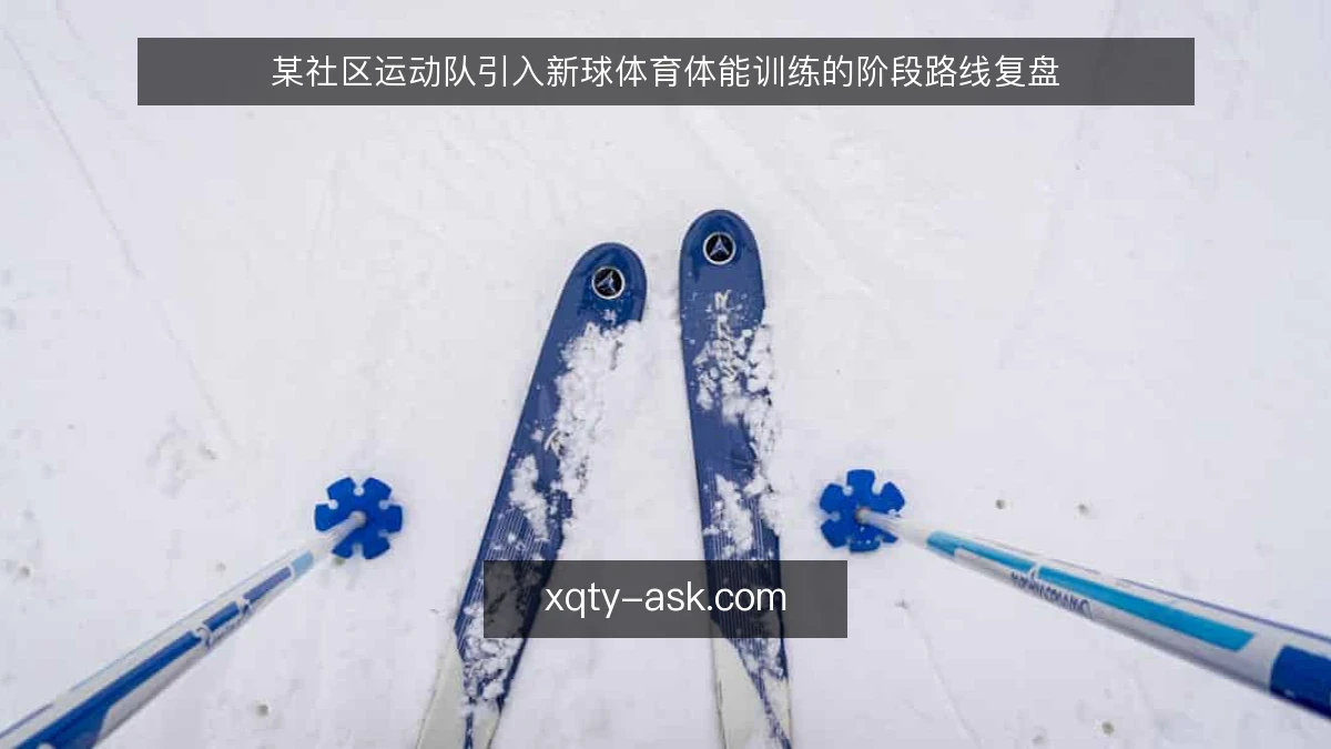 某社区运动队引入新球体育体能训练的阶段路线复盘